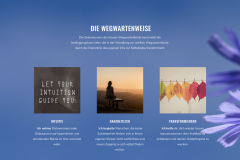 wegwarte-screenshots-2022-03-15-um-11.05.54